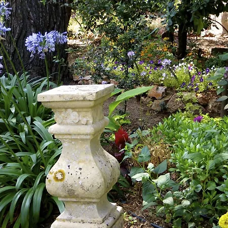 Lägenhet Dans St Raphael