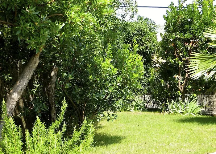 Lägenhet Dans St Raphael