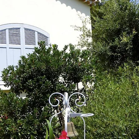 Dans St Raphael