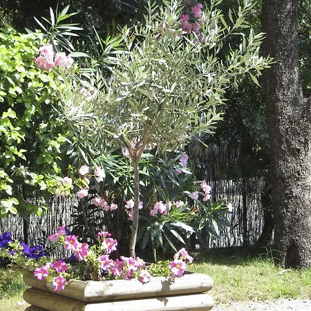Apartmán Dans St Raphael *