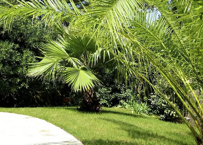 Apartmán Dans St Raphael Saint-Raphaël