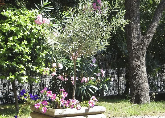 Apartmán Dans St Raphael *